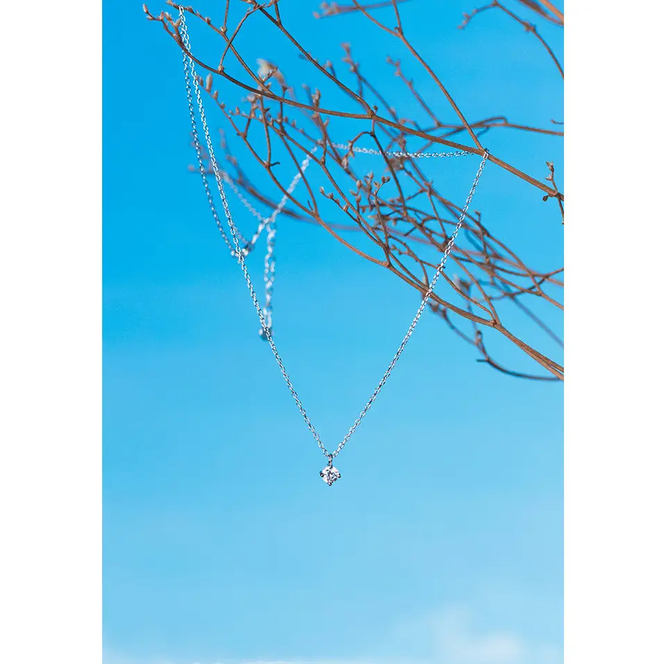 Necklace with Silver Necklace - Silver